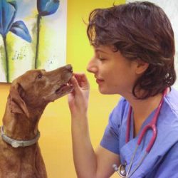 Natalia-Russo-medico-veterinario-nutrizionista-torino-diete-bestiali-contemporaneo-food