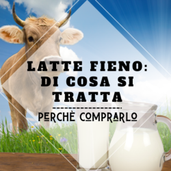 latte-fieno-di-cosa-si-tratta-caratteristiche-produzuone-proprietà-contemporaneo-food