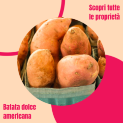 patata-batata-dolce-americana-prorpietà-controindicazioni-curiosità-contemporaneo-food