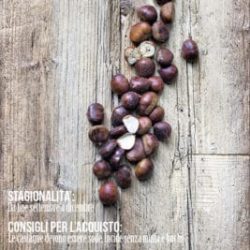 castagne-scheda-tecnica-frutta-verdura-di-stagione-contemporaneo-food