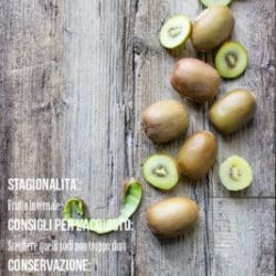 kiwi-scheda-tecnica-stagionalitù-frutta-verdura-contemporaneo-food
