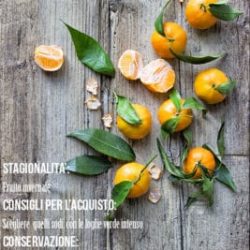 mandarini-scheda-tecnica-materie-prime-frutta-verdura-contemporaneo-food