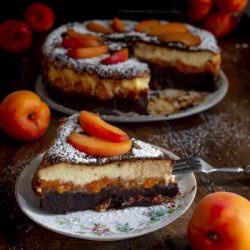 torta-brownie-con-albicocche-e-cremoso-alla-vaniglia-ricetta-merenda-contemporaneo-food
