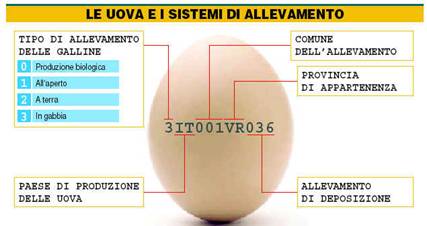 uova-materie-prime