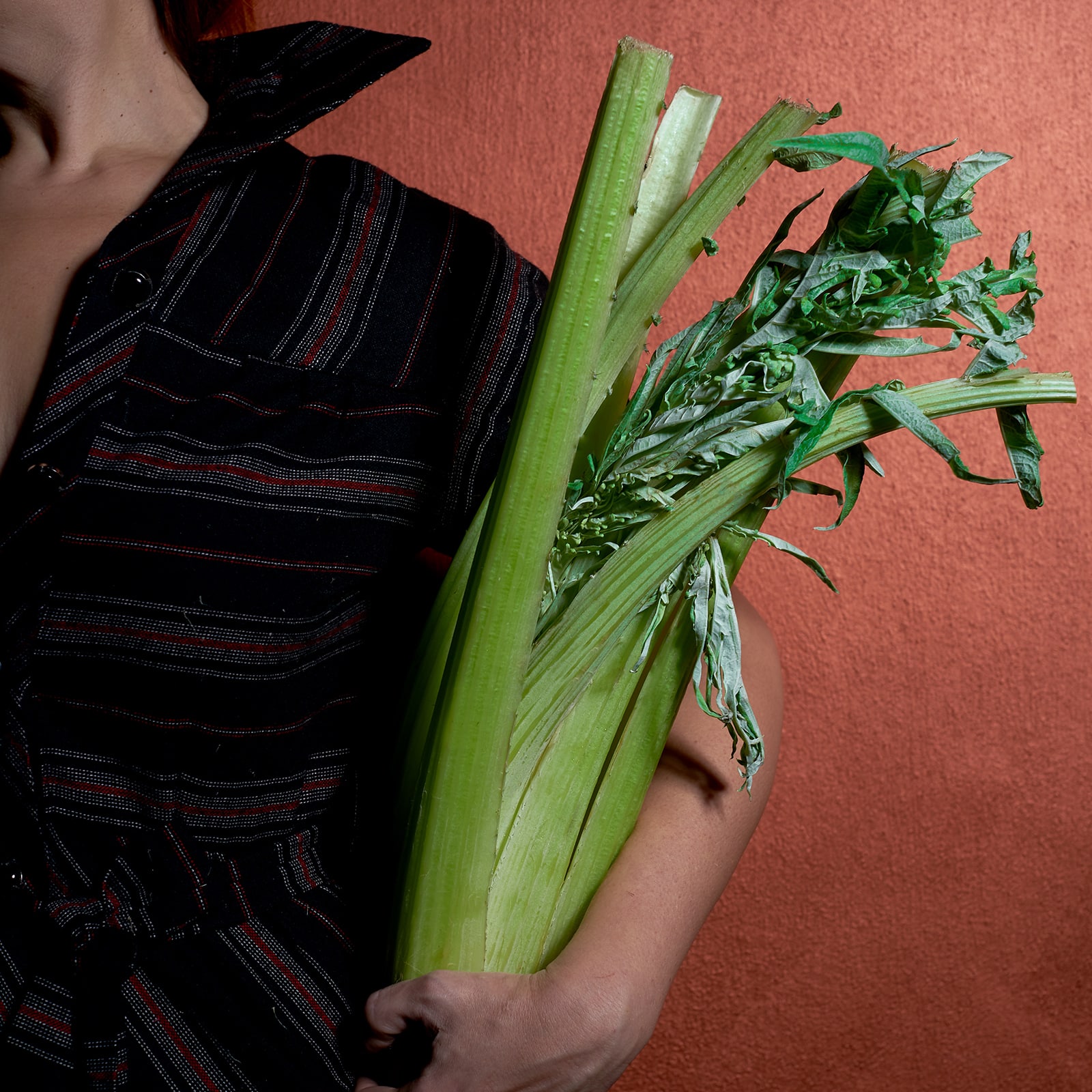 Immagine: I cardi: stagionalità, proprietà e controindicazioni