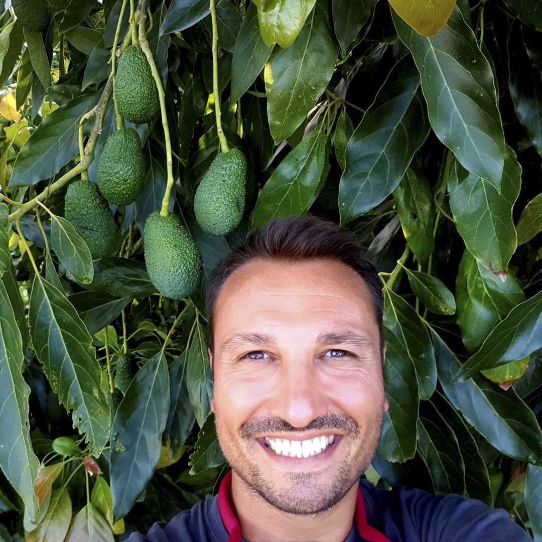 Immagine: Sicilia Avocado