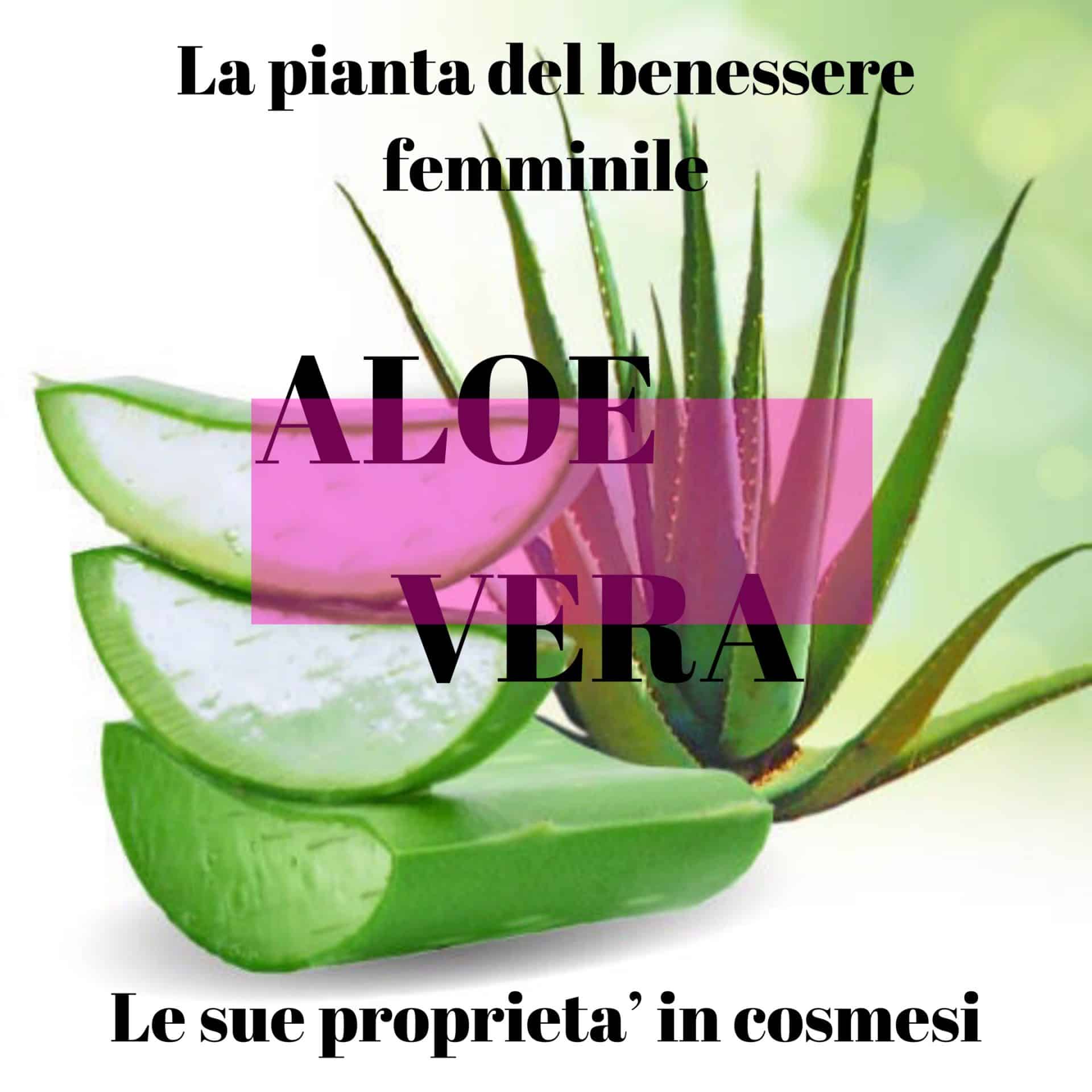 Aloe vera: propriet cosmetiche: conosciamo la pianta amica delle donne