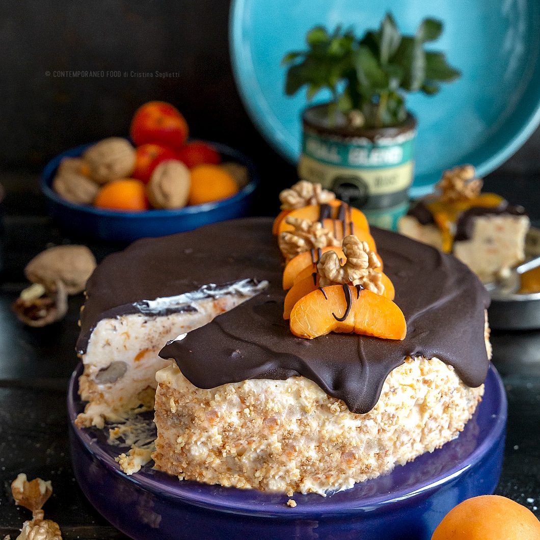 semifreddo-albicocca-noci-cioccolato-torta-fredda-estiva-facile-contemporaneo-food