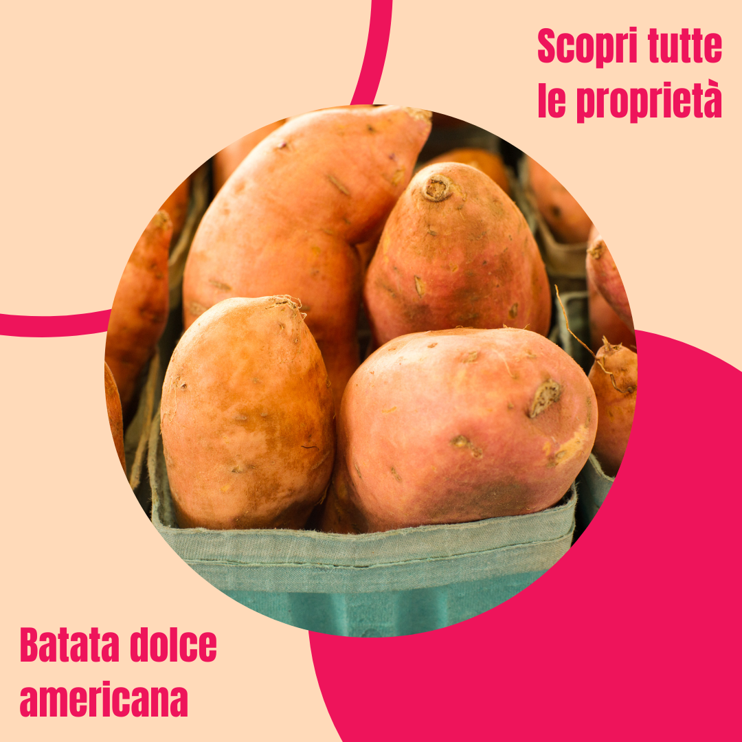 Immagine: Patate dolci americane: stagionalità, proprietà e controindicazioni