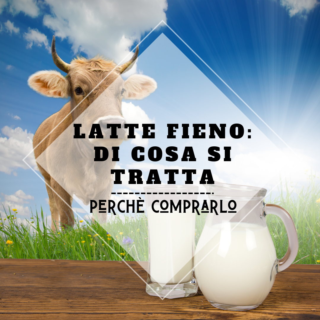 Immagine: Latte fieno: di cosa si tratta?